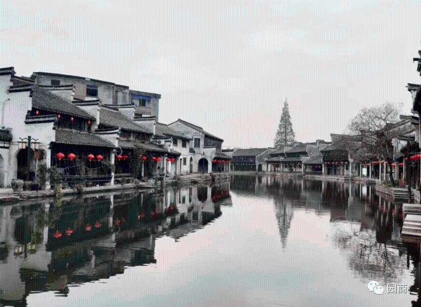 小兔子大冒险